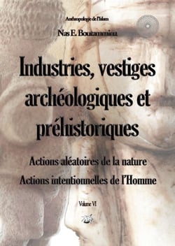 Industries, vestiges archéologiques et préhistoriques - Action aléatoire de la nature &amp; Action intentionnelle de l’Homme - Volume VI