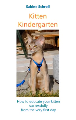Kitten Kindergarten - How to educate your kitten successfully from the very first day