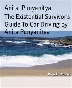 The Existential Survivor's Guide To Car Driving by Anita Punyanitya - Drive and love it - Look after your car, and be in a good mind state.