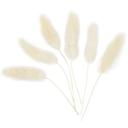 Sachet 6 fleurs plumeau - 3-7 cm