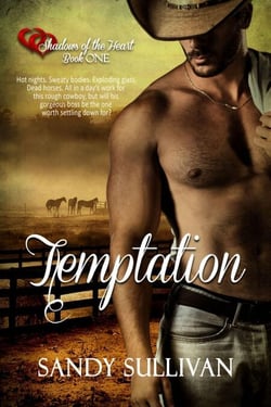 Temptation - Shadows of the Heart, #1