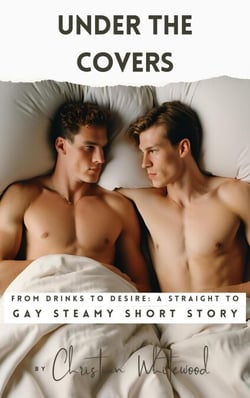 Under The Covers - From Drinks To Desire - A Straight To Gay Steamy Short Story