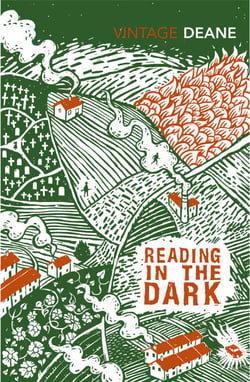 Reading in the Dark - A powerful novel of an Irish childhood shaped by silence, loss, and hidden truths.