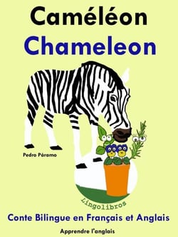 Conte Bilingue en Français et Anglais: Caméléon - Chameleon - Apprendre l'anglais, #5