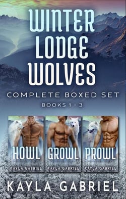 Winter Lodge Wolves Complete Boxed Set - Winter Lodge Wolves