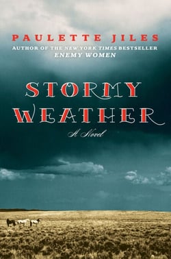 Stormy Weather - A Novel