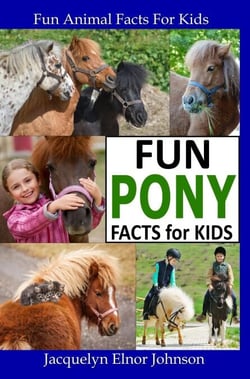 Fun Pony Facts for Kids - Fun Animal Facts For Kids