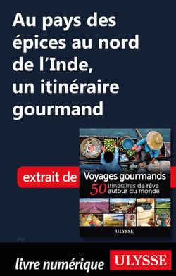 Au pays des épices au nord de l'Inde - Un itinéraire gourmand
