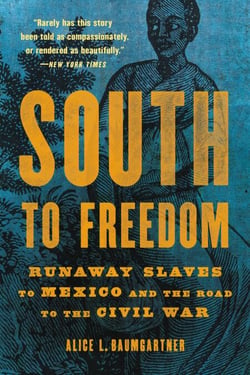 South to Freedom - Runaway Slaves to Mexico and the Road to the Civil War