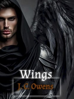 Wings - Wings, #1