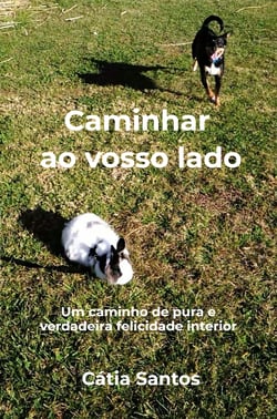 Caminhar ao vosso lado - Um caminho de pura e verdadeira felicidade interior