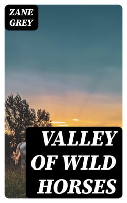 Valley Of Wild Horses