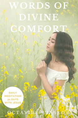 Words of Divine Comfort - 31 days with Jesus - Daily Meditation