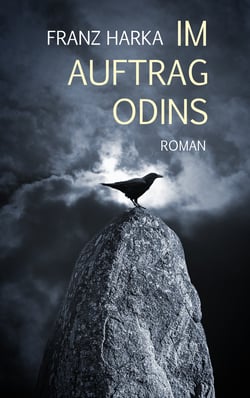 Im Auftrag Odins - Roman