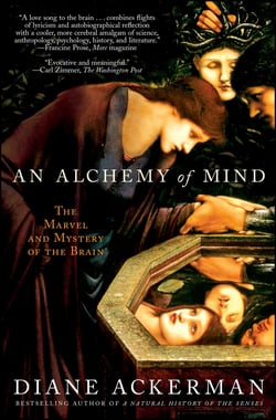 An Alchemy of Mind - The Marvel and Mystery of the Brain