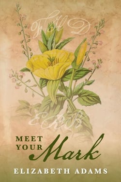 Meet Your Mark - A Collection of Unusual Tales, #2