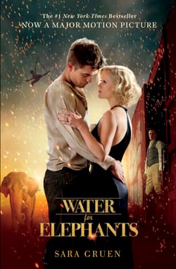 Water for Elephants - a novel of star-crossed lovers perfect for summer reading