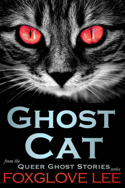 Ghost Cat - Queer Ghost Stories, #17