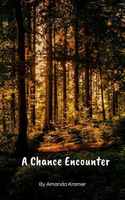 A Chance Encounter