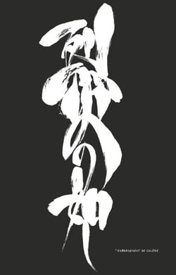 Bleach - T57 - Chapitre 508 - EMBRASEMENT DE COLERE