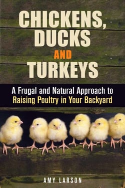 Chickens, Ducks and Turkeys: A Frugal and Natural Approach to Raising Poultry in Your Backyard - Backyard Farming &amp; Homesteading