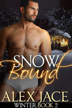 Snowbound - Winter, #2