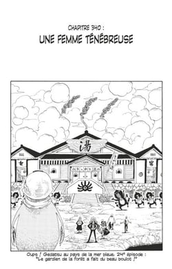 One Piece édition originale - Chapitre 340 - Une femme ténébreuse