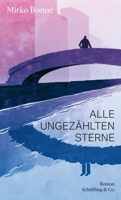 Alle ungezählten Sterne - Roman
