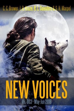 New Voices Vol 003 - Short Story Fiction Anthology