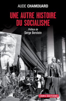 Le Socialisme en action - Les politiques à l'épreuve du terrain (1919-1920)