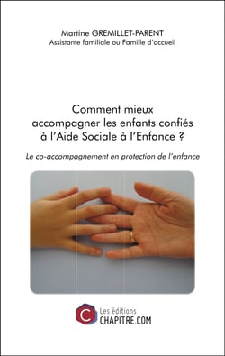 Comment mieux accompagner les enfants confiés à l'Aide Sociale à l'Enfance ? - Le co-accompagnement en protection de l’enfance