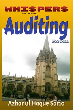 Whispers in the Auditing Room - Tales of Financial Protection and Personal Safety