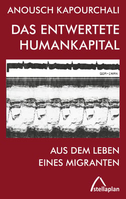 Das entwertete Humankapital - Aus dem Leben eines Migranten