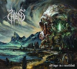 Stranger In A Wasteland