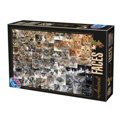 Puzzle 1000 pièces - Face à chats