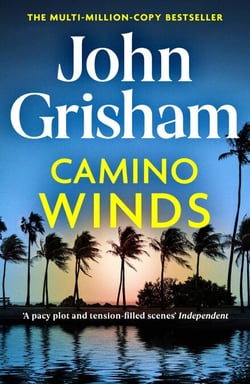Camino Winds - The pulse-pounding crime thriller from the number 1 Sunday Times bestselling author