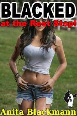 Blacked at the Rest Stop! - Good White Girls Blacked, #3