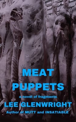 Meat Puppets: A Novel of Fragments
