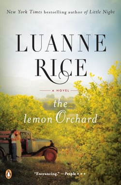 The Lemon Orchard - A Novel
