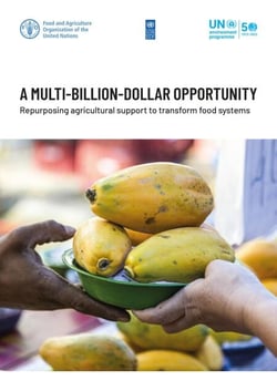 A Multi-Billion-Dollar Opportunity – Repurposing Agricultural Support to Transform Food Systems