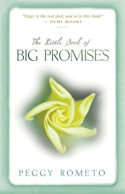 The Little Book of Big Promises - A Three-Step Process for Uncovering Your Soul's Plan