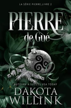 Pierre de Gué - La Série Pierre, #2
