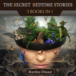 The Secret Bedtime Stories - Preschool Educational Picture Books, #3