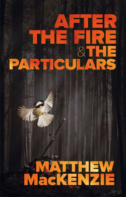 After the Fire &amp; The Particulars