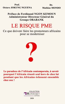 LE RISQUE PME - Ce que doivent faire les promoteurs africains pour se moderniser