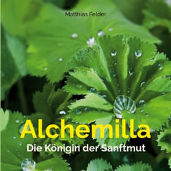 Alchemilla - Die Königin der Sanftmut