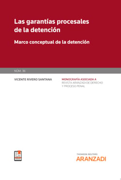 Las garantías procesales de la detención - Marco conceptual de la detención