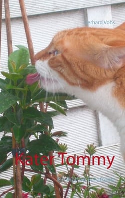 Kater Tommy - Ein Wolf im Schafspelz