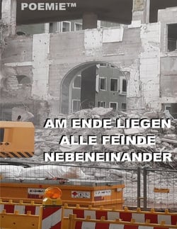 Am Ende liegen alle Feinde nebeneinander - Ausgewählte Friedhofslyrik: 113+1 Gedichte 1986 + 1993-2023