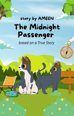 The Midnight Passenger